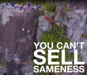 Read more about the article “You Can’t Sell Sameness”