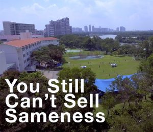 Read more about the article “You Can’t Sell Sameness, Part 2”