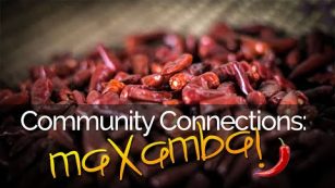 Community Connections: maXamba Chilli Farm! 🌶️